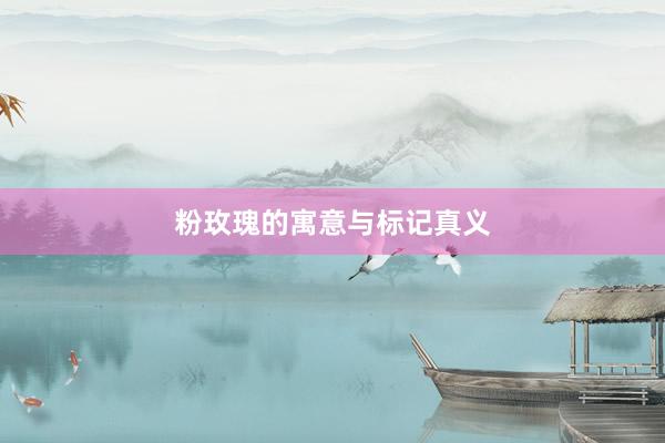 粉玫瑰的寓意与标记真义