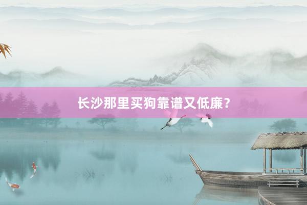 长沙那里买狗靠谱又低廉？