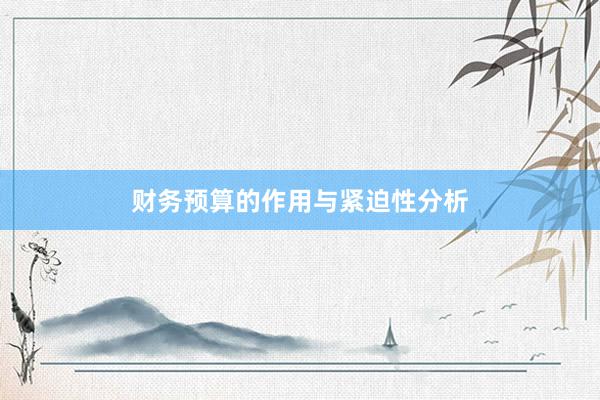 财务预算的作用与紧迫性分析
